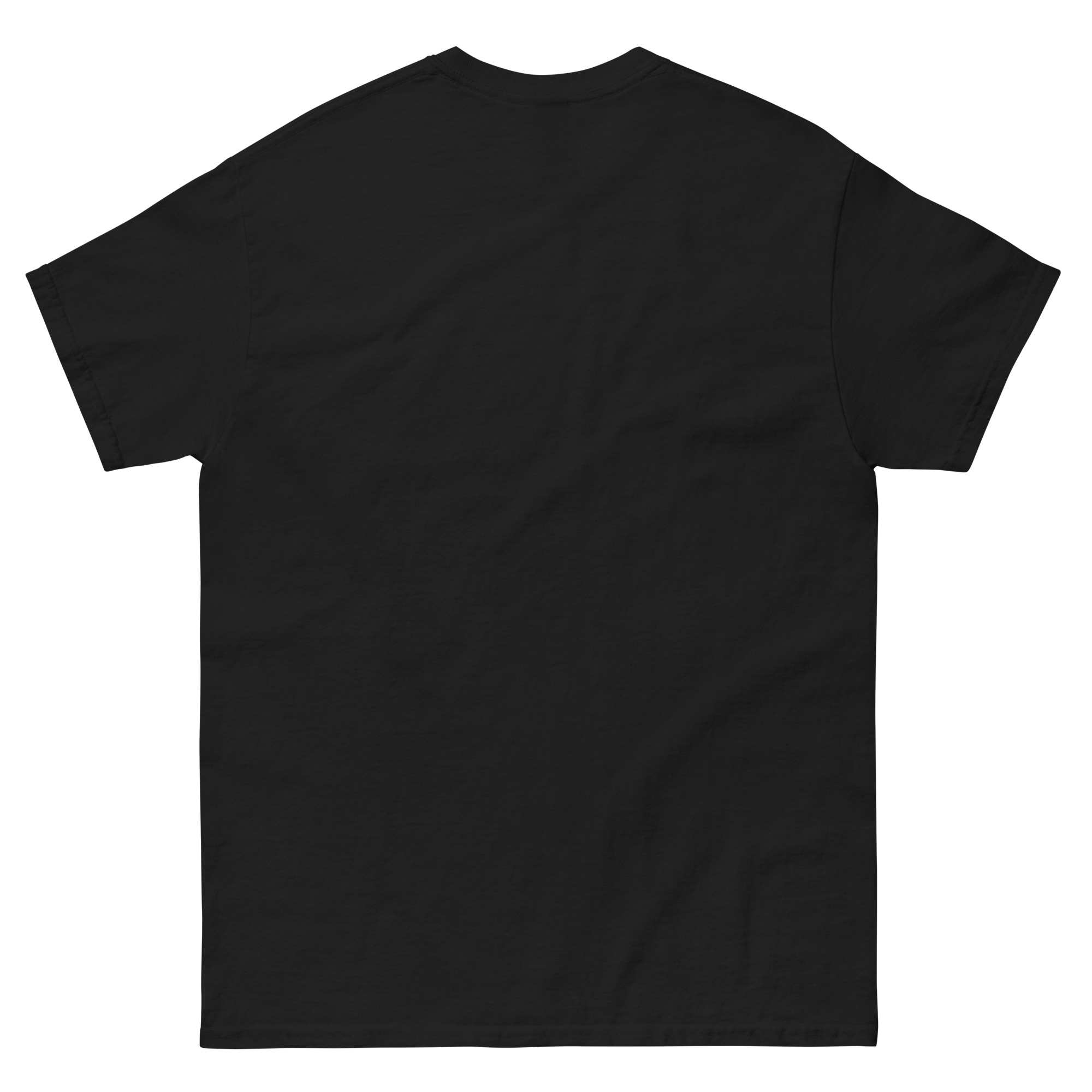mens-classic-tee-black-back-6630b5e9e0840.jpg