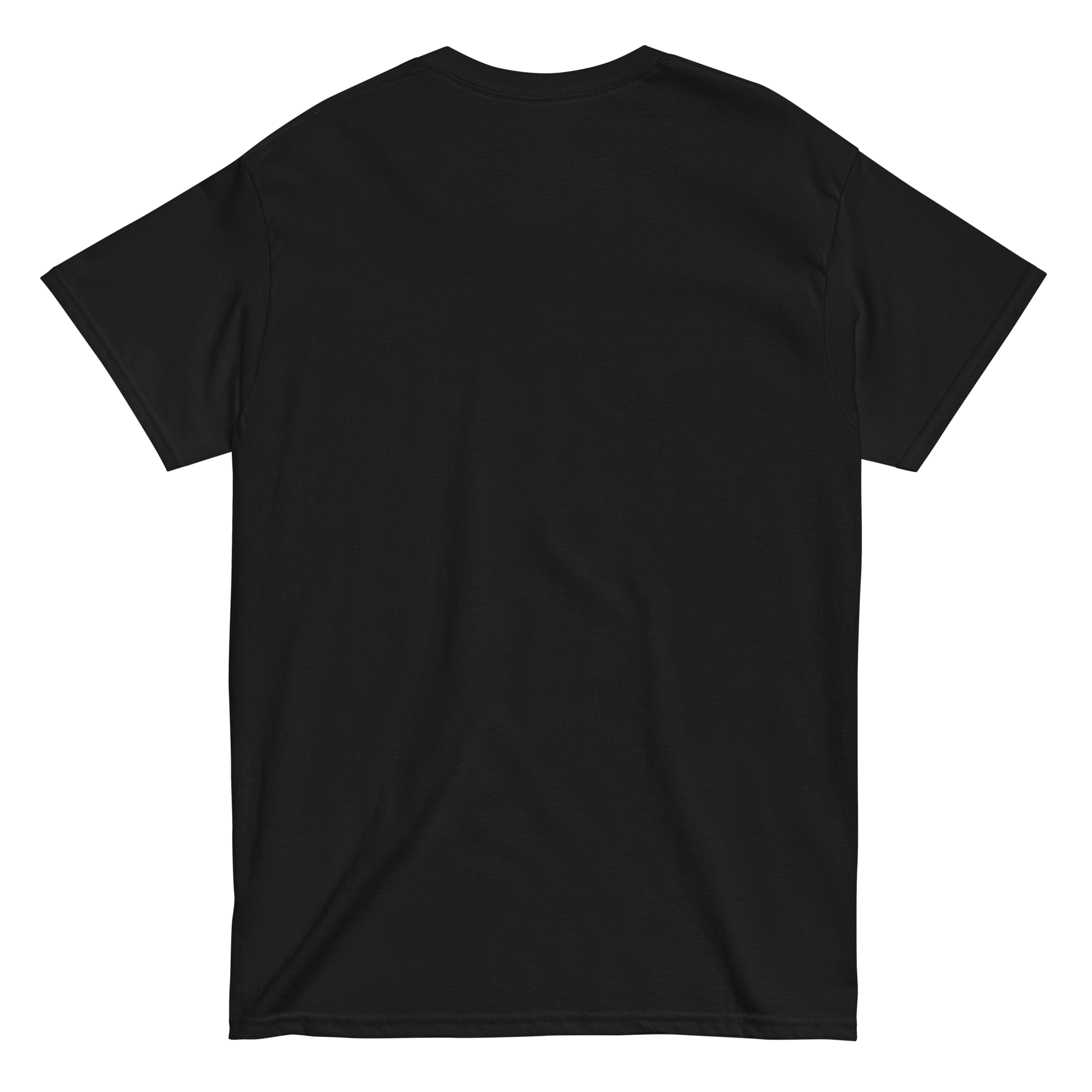 unisex-classic-tee-black-back-668bc9ef8b0a7.png