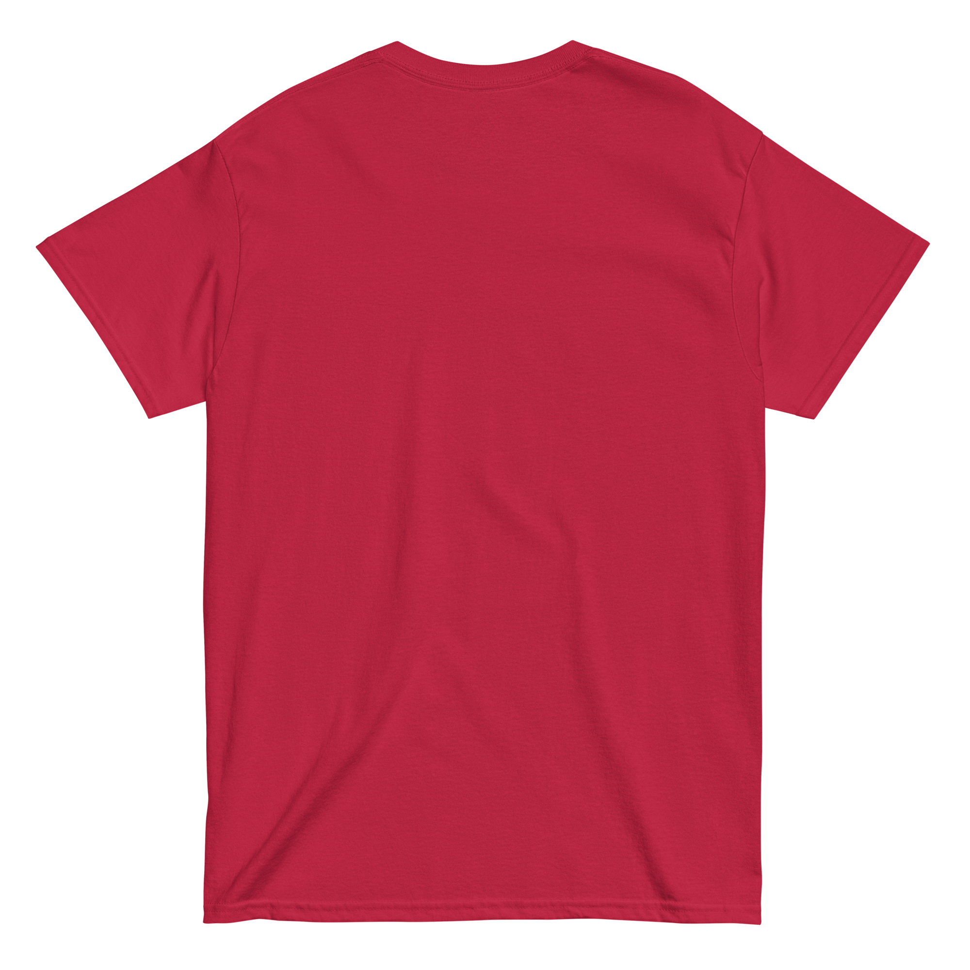 unisex-classic-tee-cardinal-back-668bc9ef94d08.png
