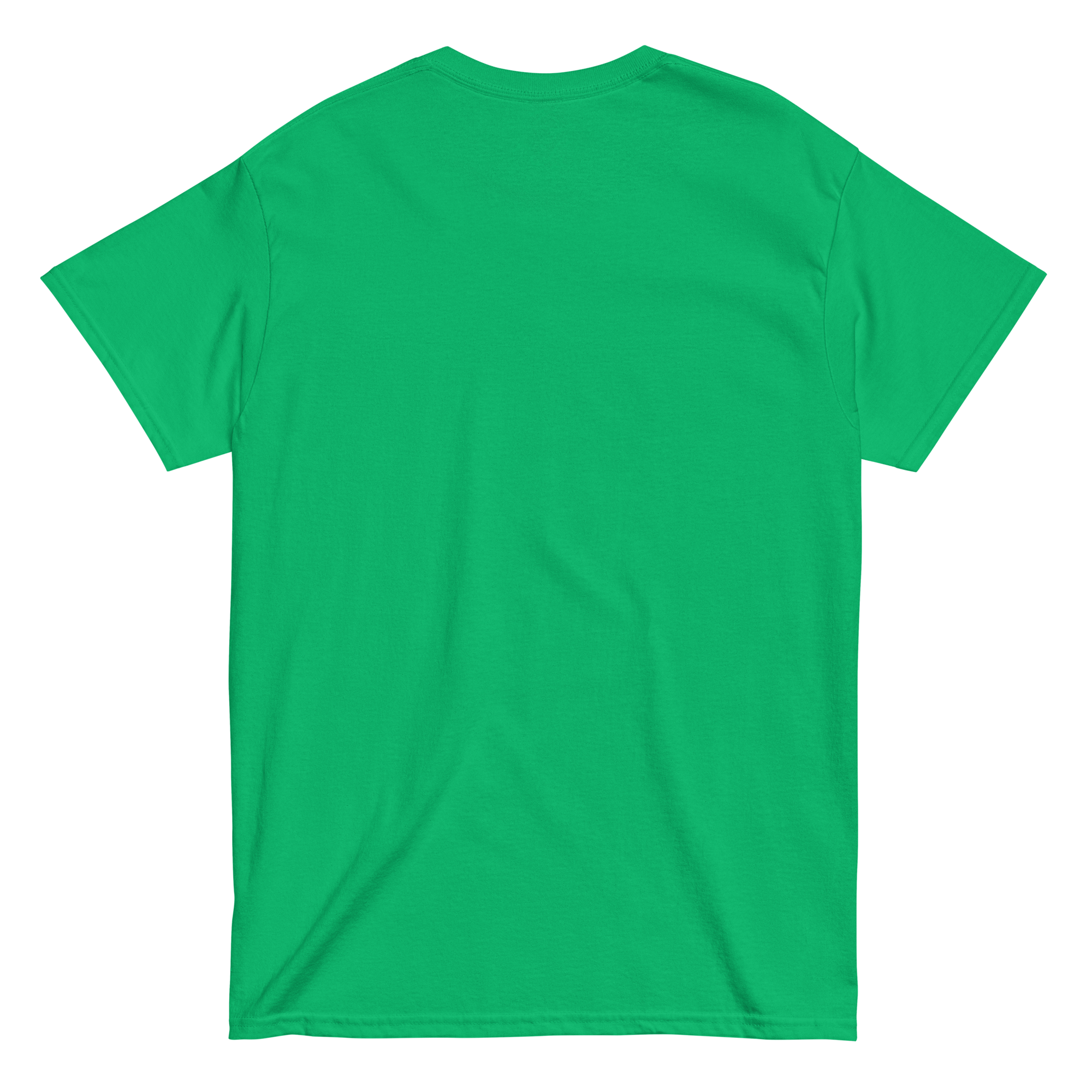 unisex-classic-tee-irish-green-back-668bc9efc386f.png
