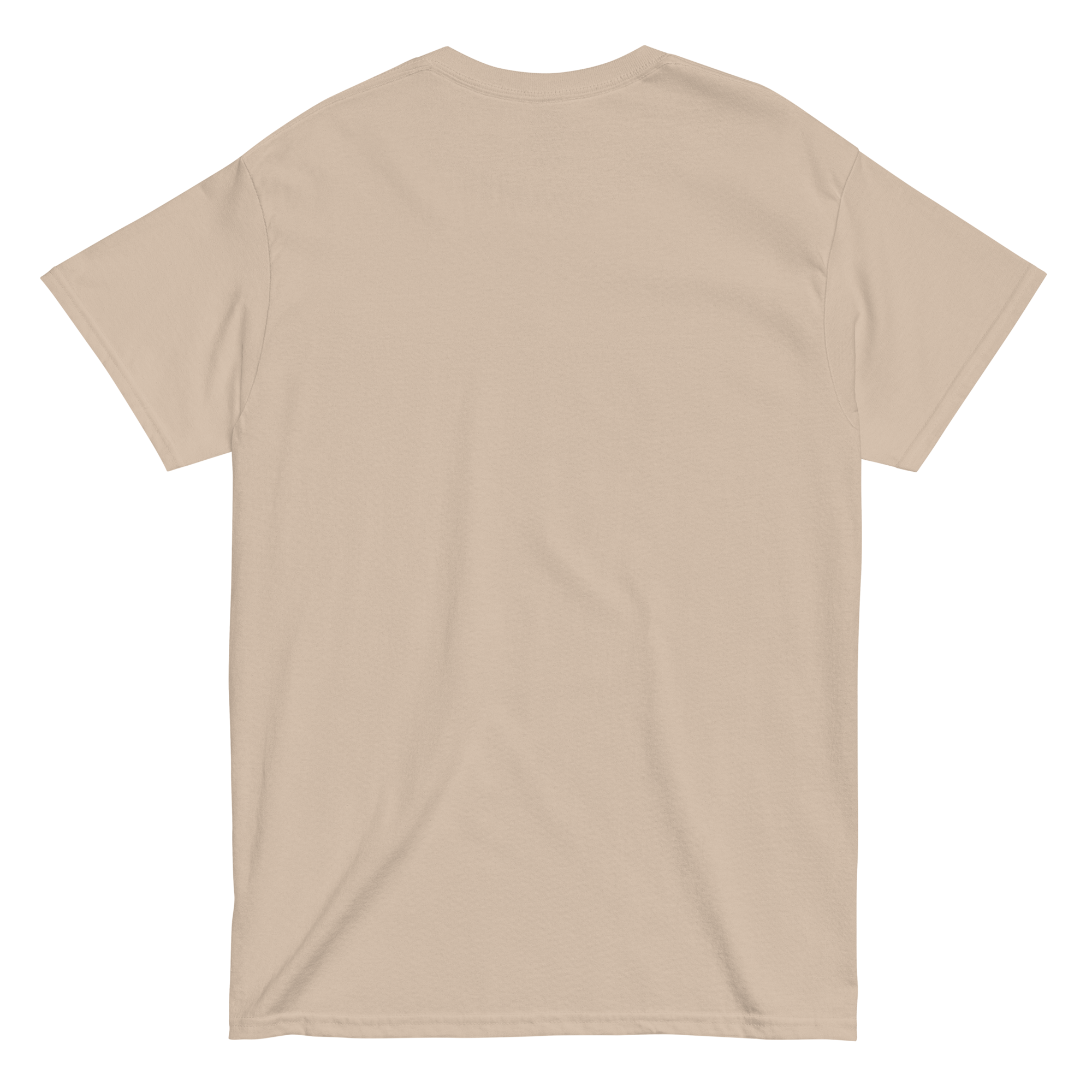 unisex-classic-tee-sand-back-668bc9f00d993.png