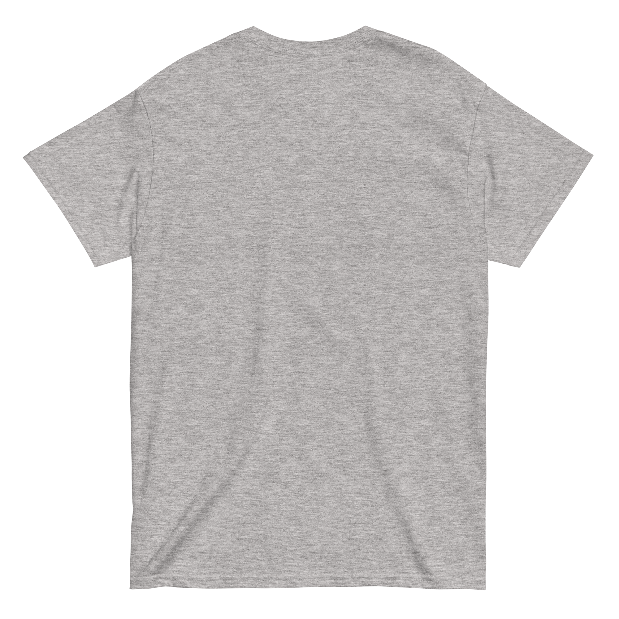 unisex-classic-tee-sport-grey-back-668bc9efeb8d3.png