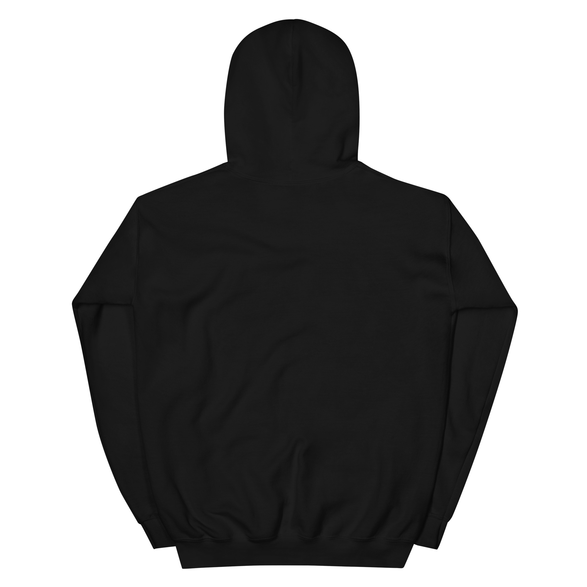 unisex-heavy-blend-hoodie-black-back-668b87983d02d.jpg