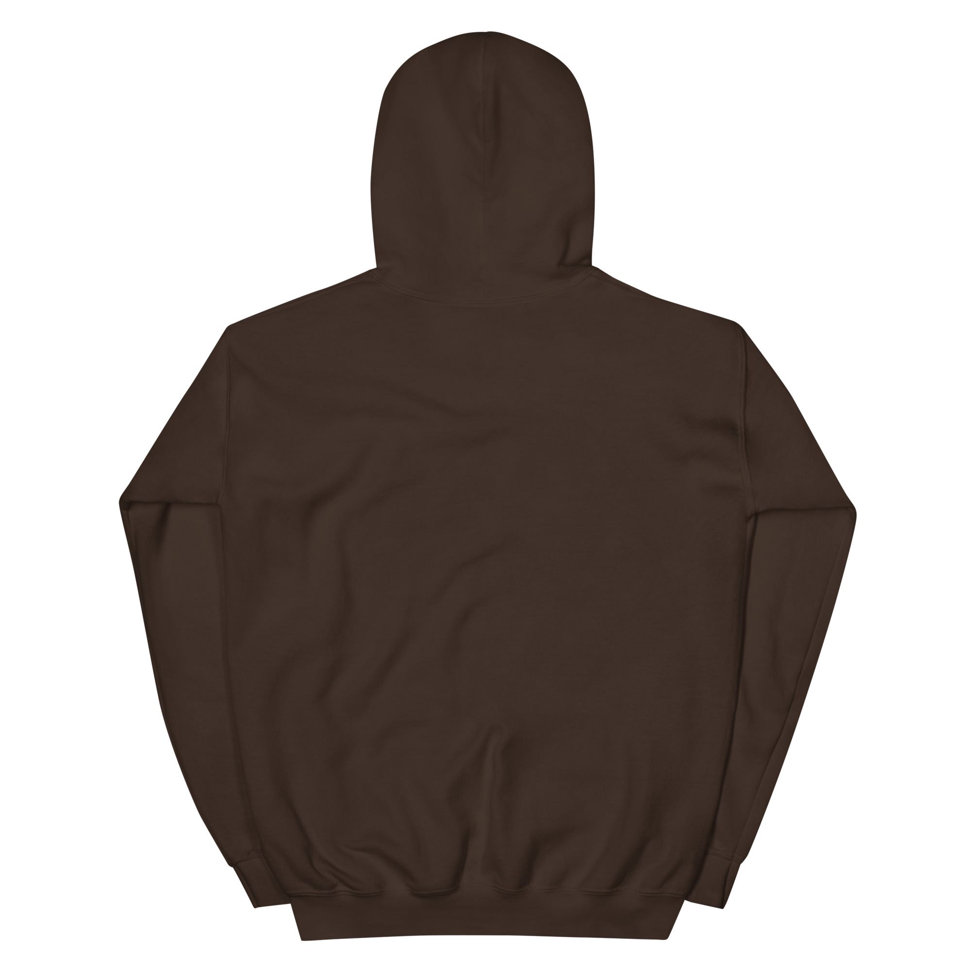 unisex-heavy-blend-hoodie-dark-chocolate-back-668b879845506.jpg