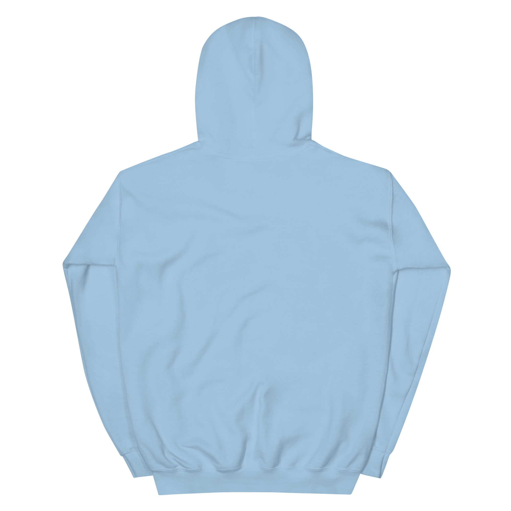 unisex-heavy-blend-hoodie-light-blue-back-668b87988d589.jpg