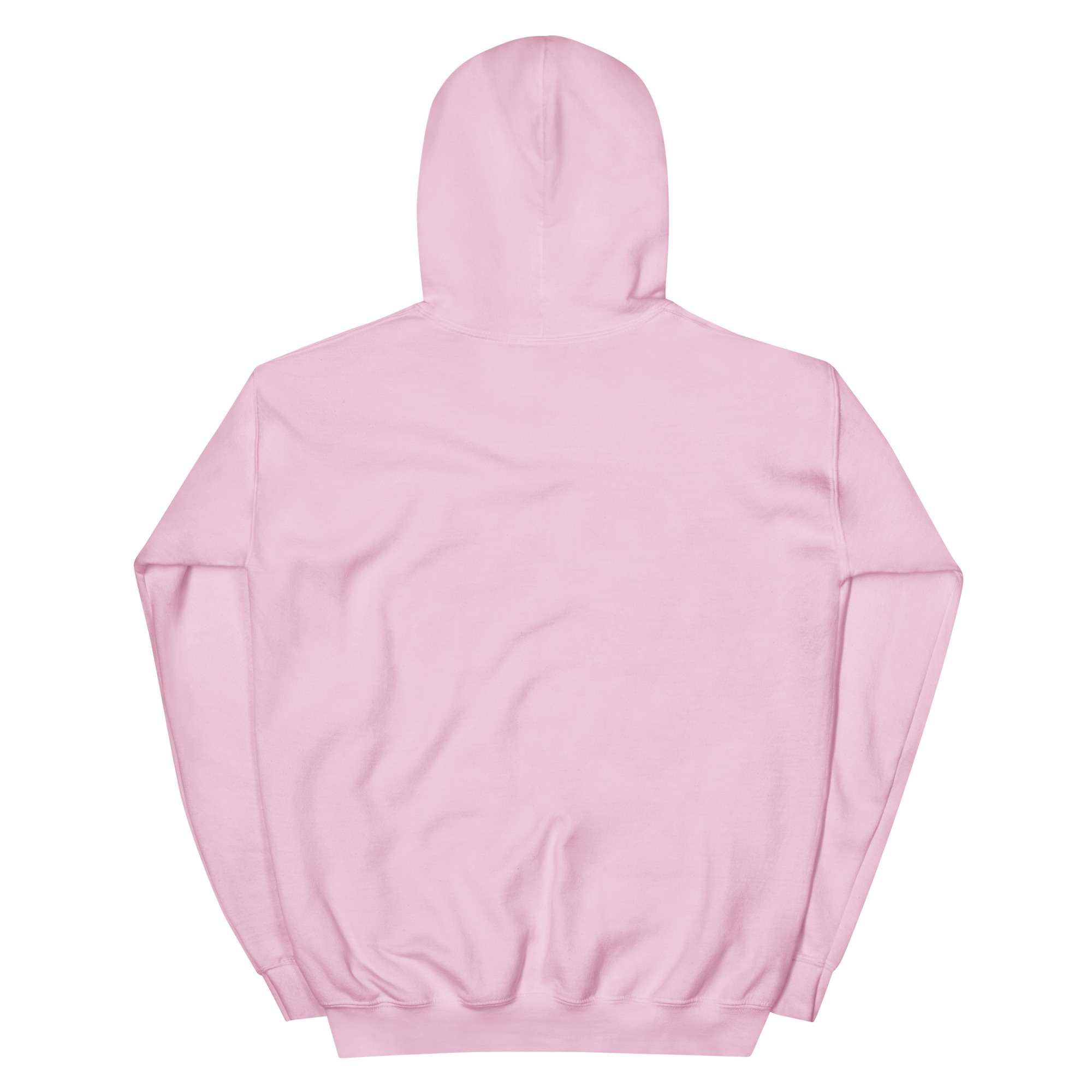 unisex-heavy-blend-hoodie-light-pink-back-668b8798b88f7.jpg