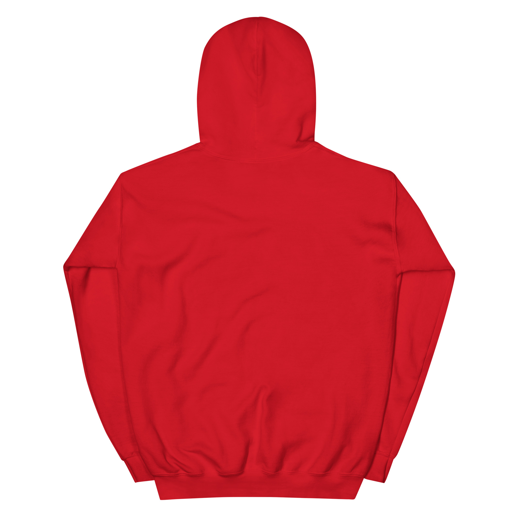 unisex-heavy-blend-hoodie-red-back-668b87984b770.jpg