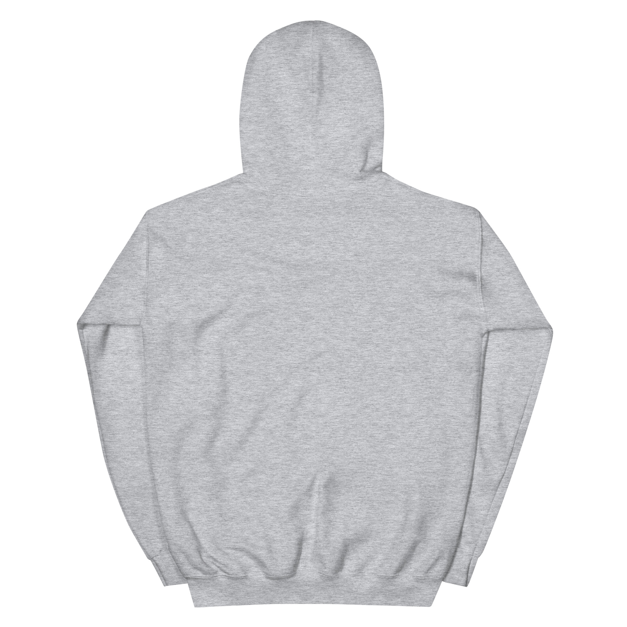 unisex-heavy-blend-hoodie-sport-grey-back-668b879879372.jpg