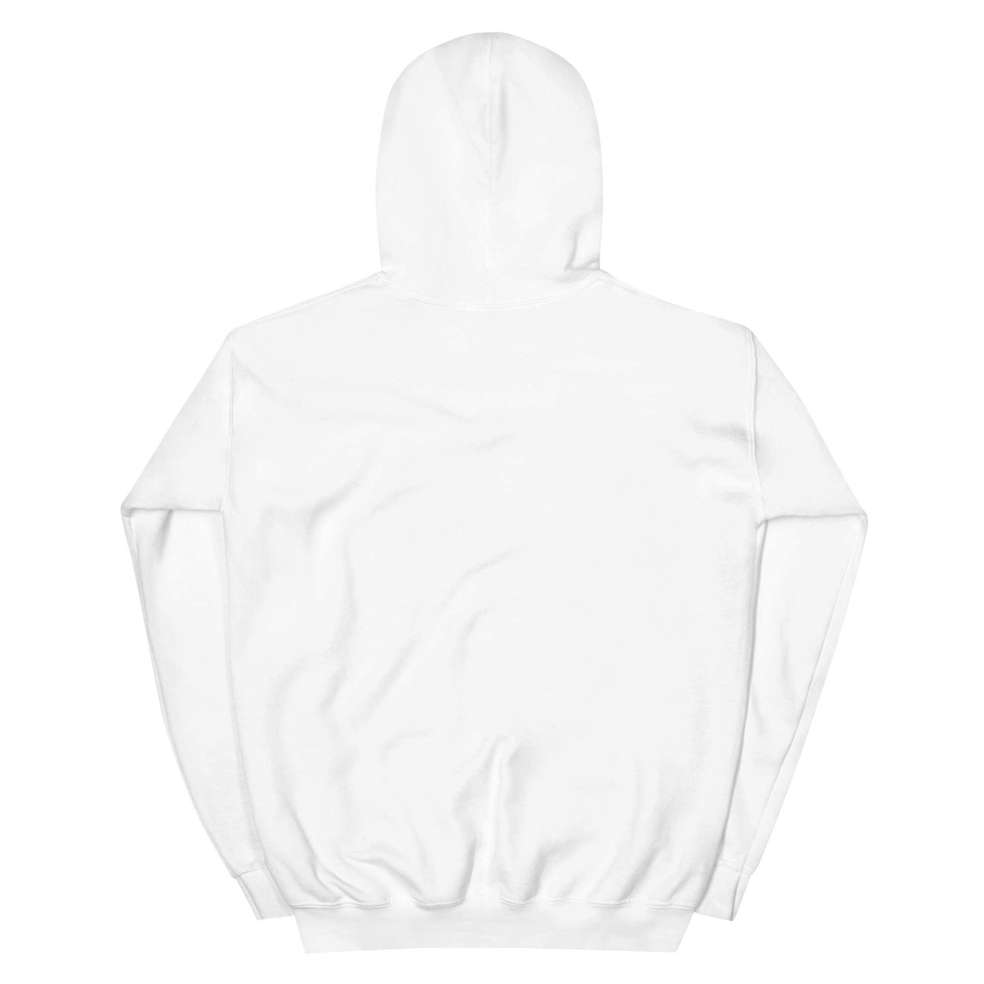 unisex-heavy-blend-hoodie-white-back-668b8798cd8cc.jpg