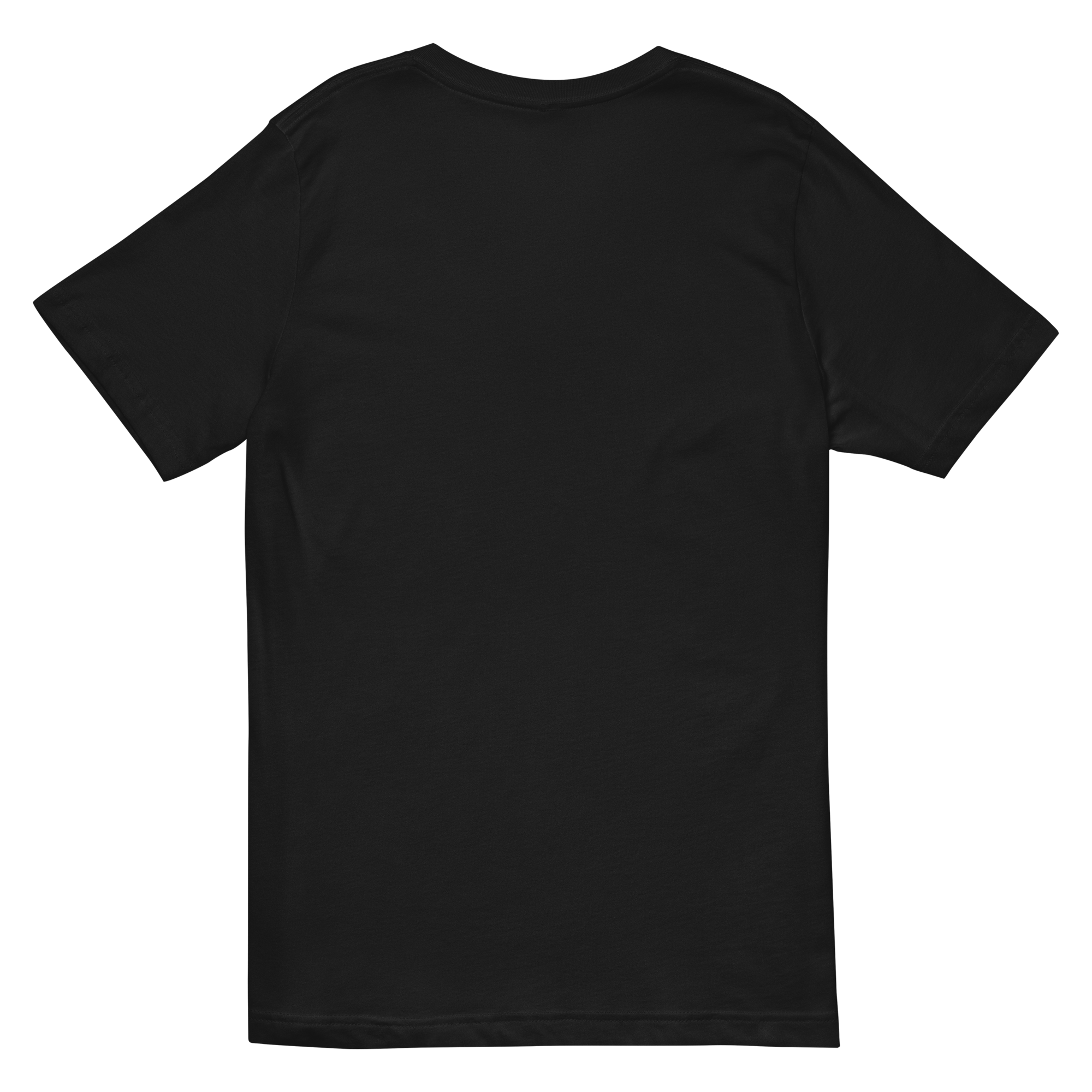 unisex-v-neck-tee-black-back-668c266e8e8f4.png